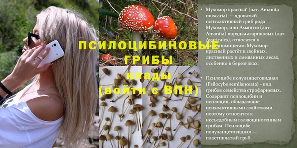 дурь Вязьма