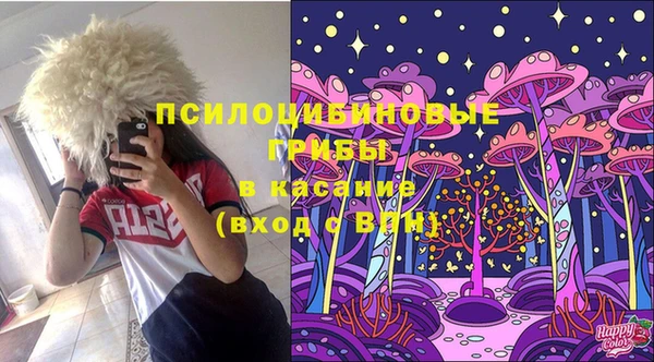 дурь Вязьма